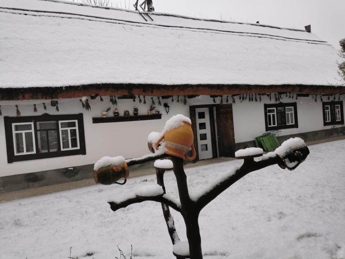 Forras Holiday home